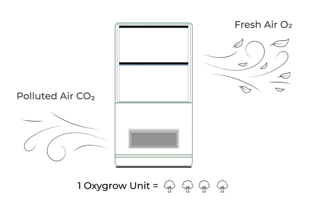 Why Oxygrow Matters