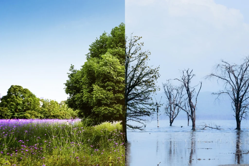 environment impact